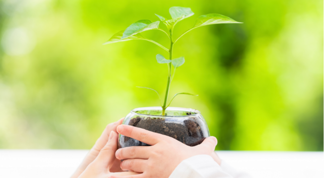 環境への取り組み