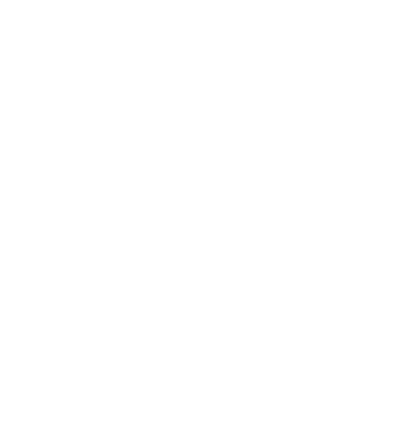 5件